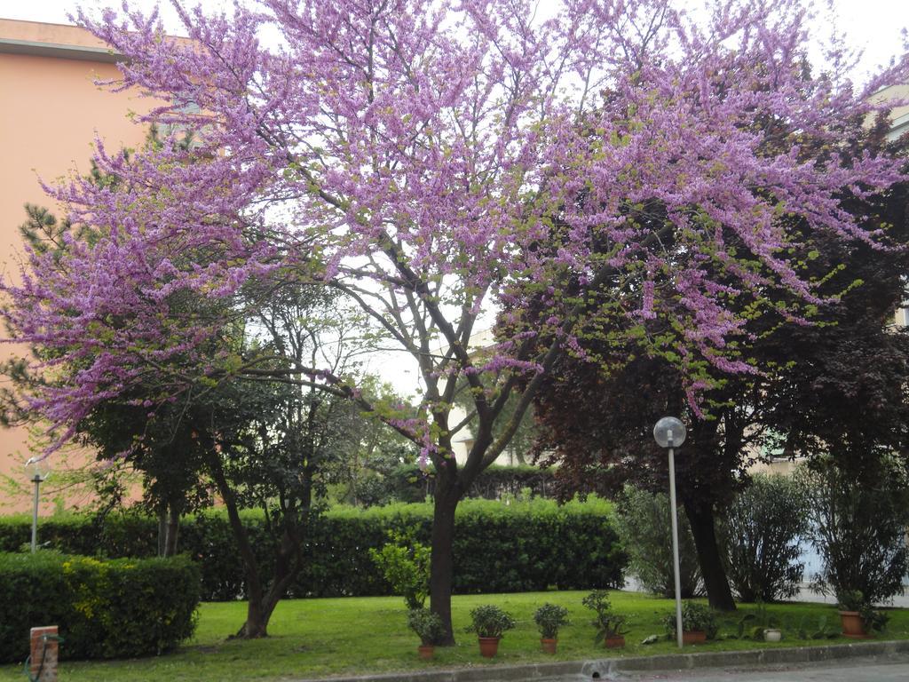 Cisanello House Hotel Pisa Bagian luar foto