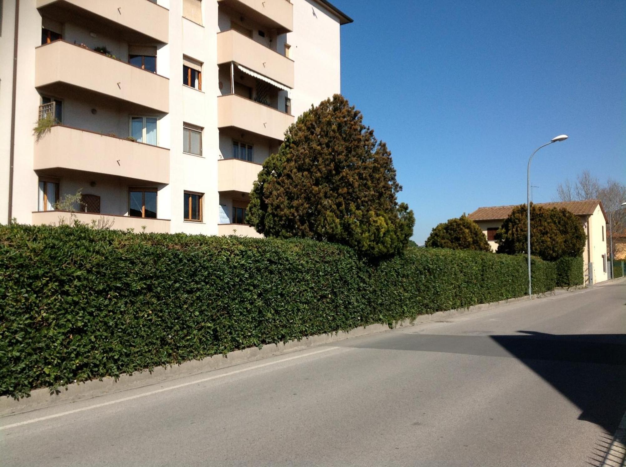 Cisanello House Hotel Pisa Bagian luar foto